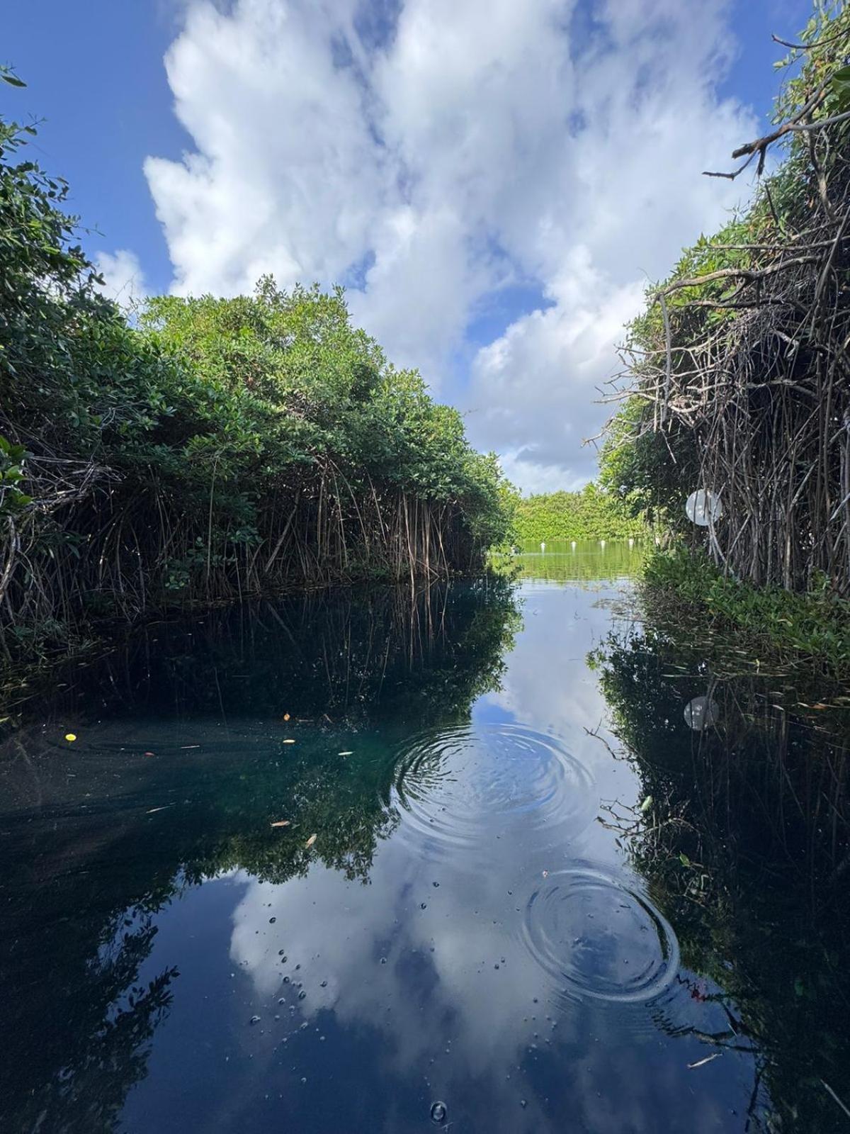 Cabanas Tulum - Aldea Mangle & Cenote Luaran gambar