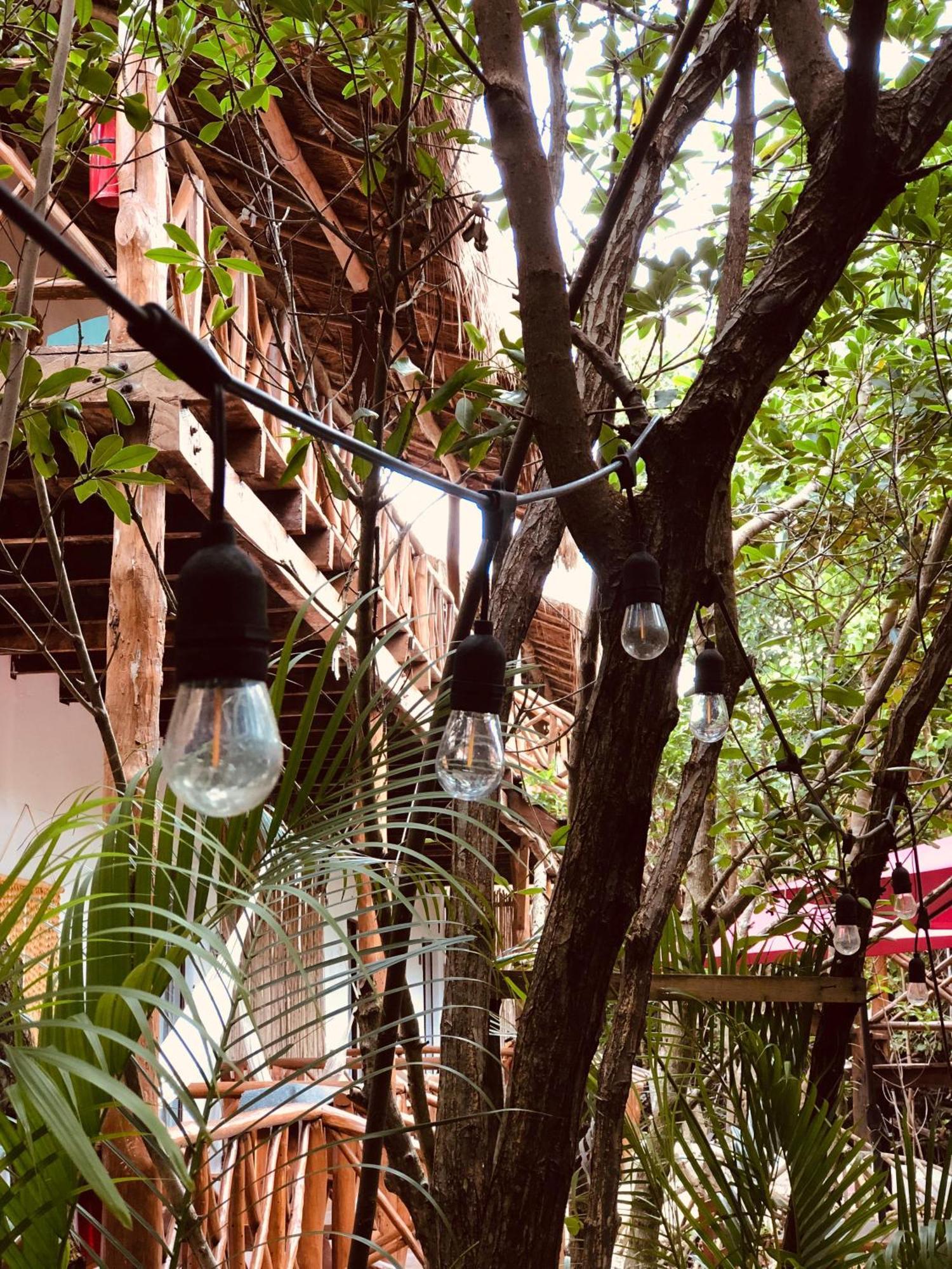 Cabanas Tulum - Aldea Mangle & Cenote Luaran gambar