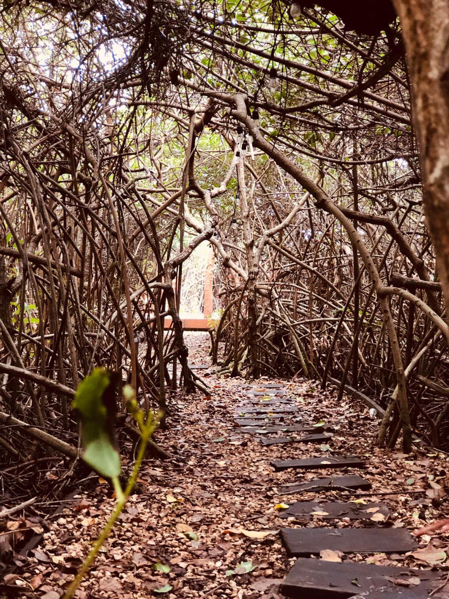 Cabanas Tulum - Aldea Mangle & Cenote Luaran gambar