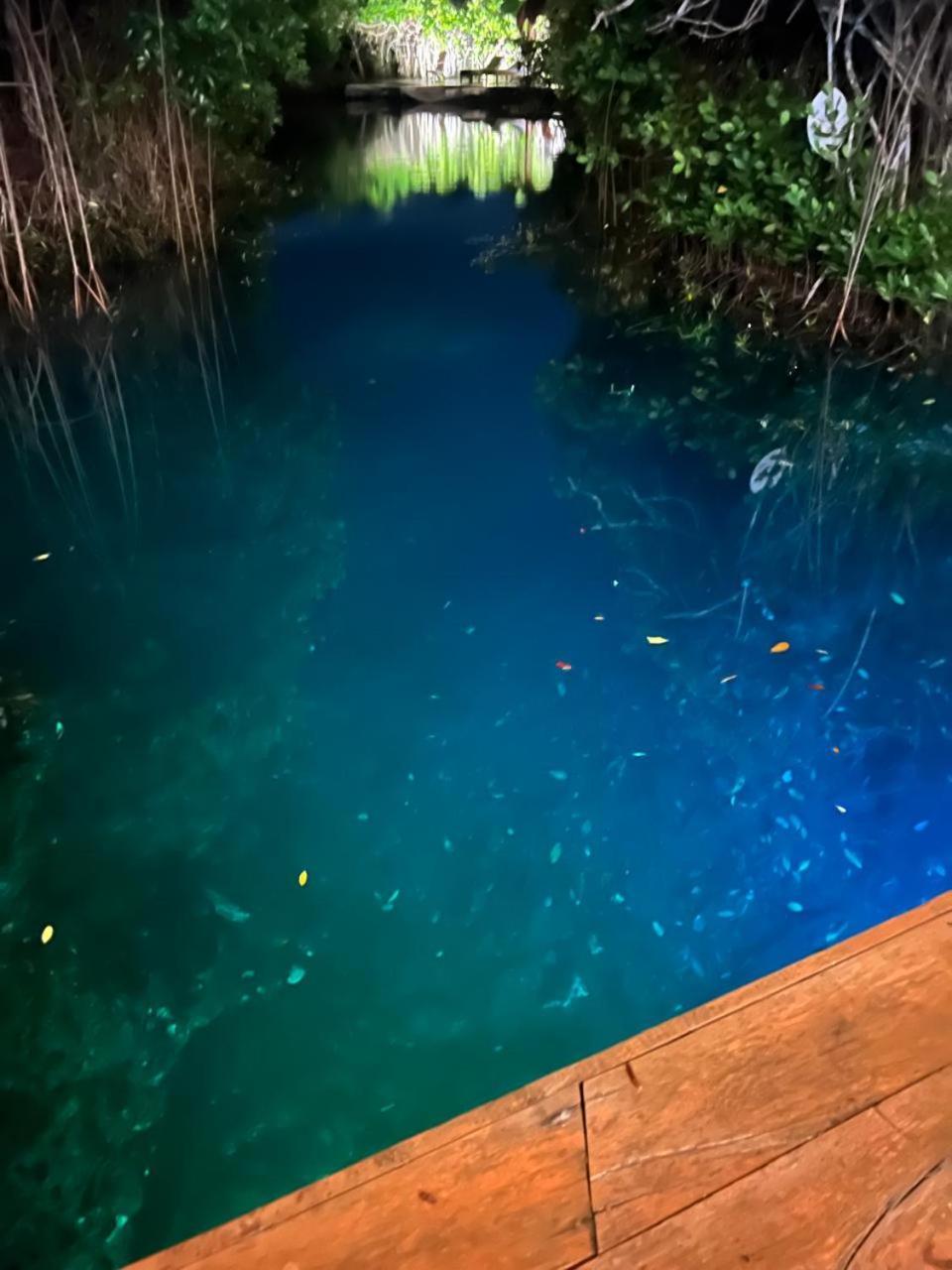 Cabanas Tulum - Aldea Mangle & Cenote Luaran gambar