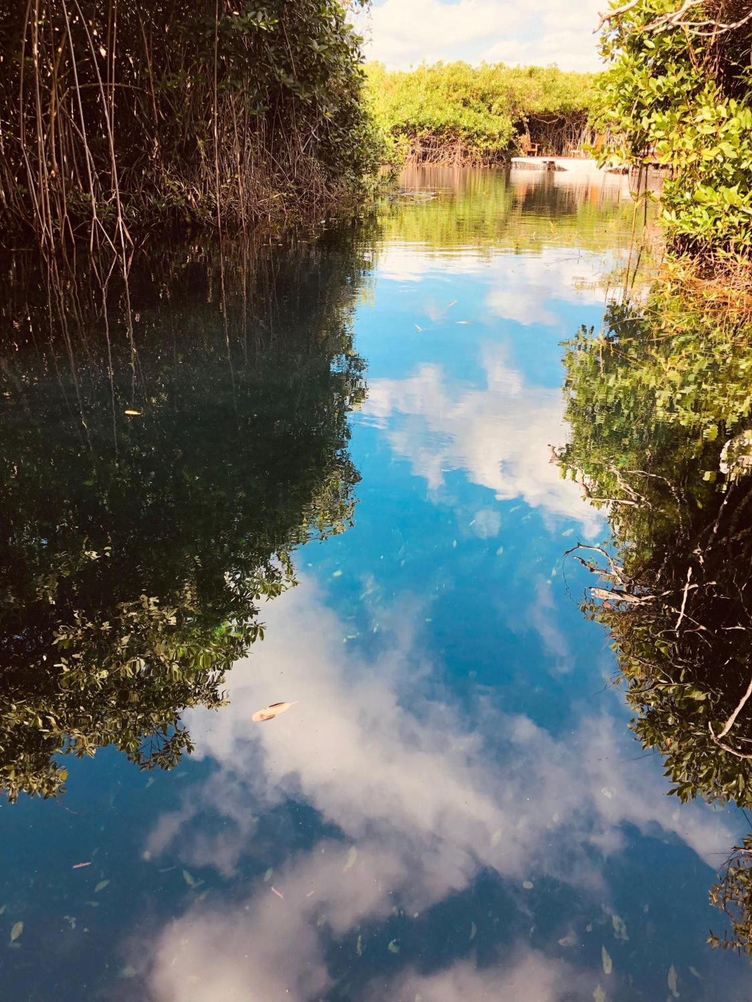 Cabanas Tulum - Aldea Mangle & Cenote Luaran gambar