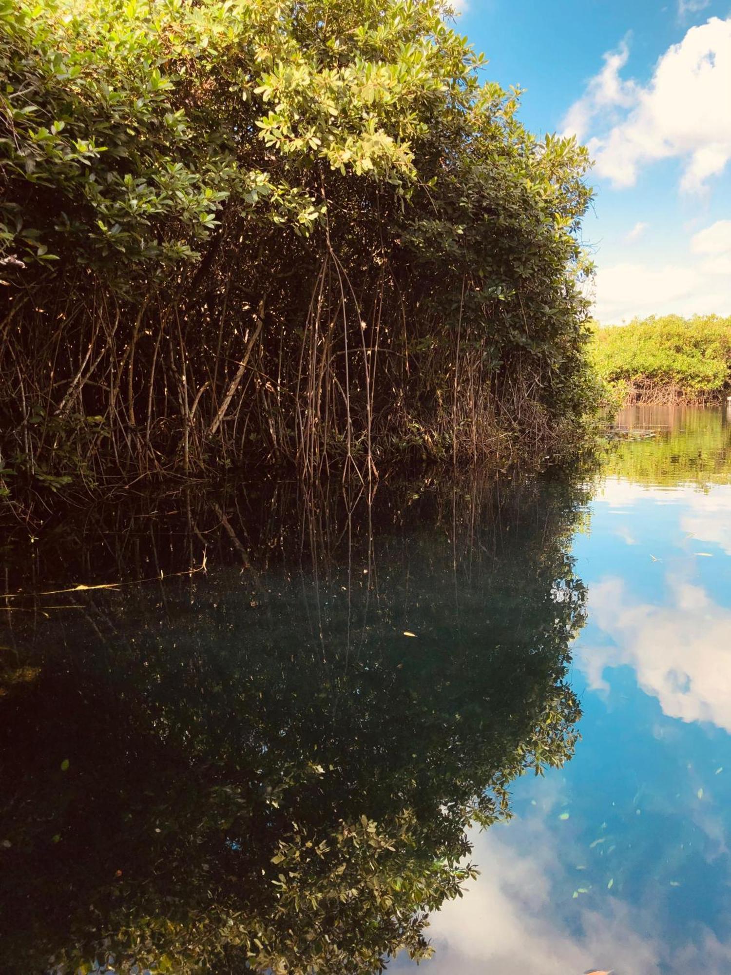 Cabanas Tulum - Aldea Mangle & Cenote Luaran gambar
