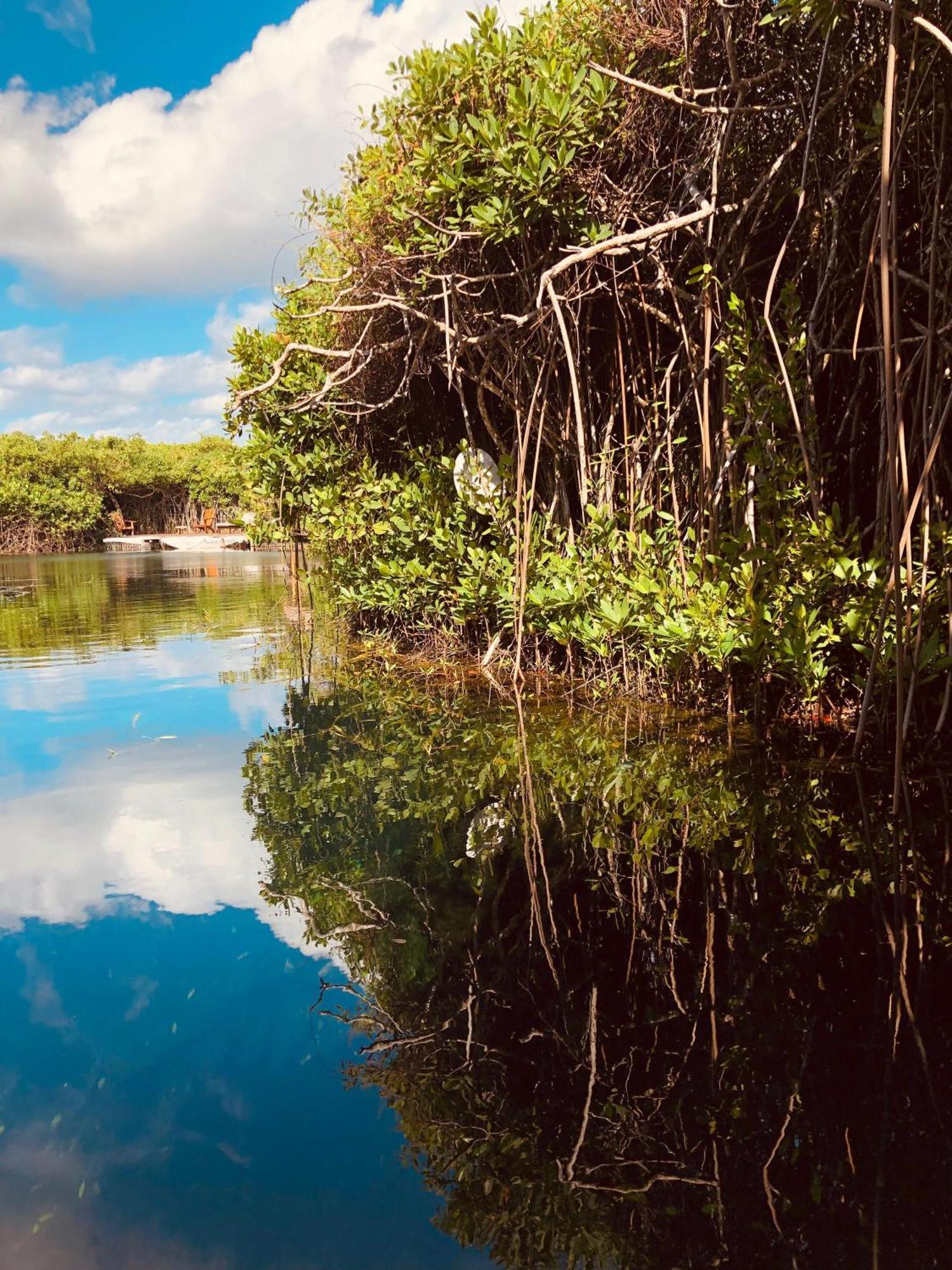 Cabanas Tulum - Aldea Mangle & Cenote Luaran gambar
