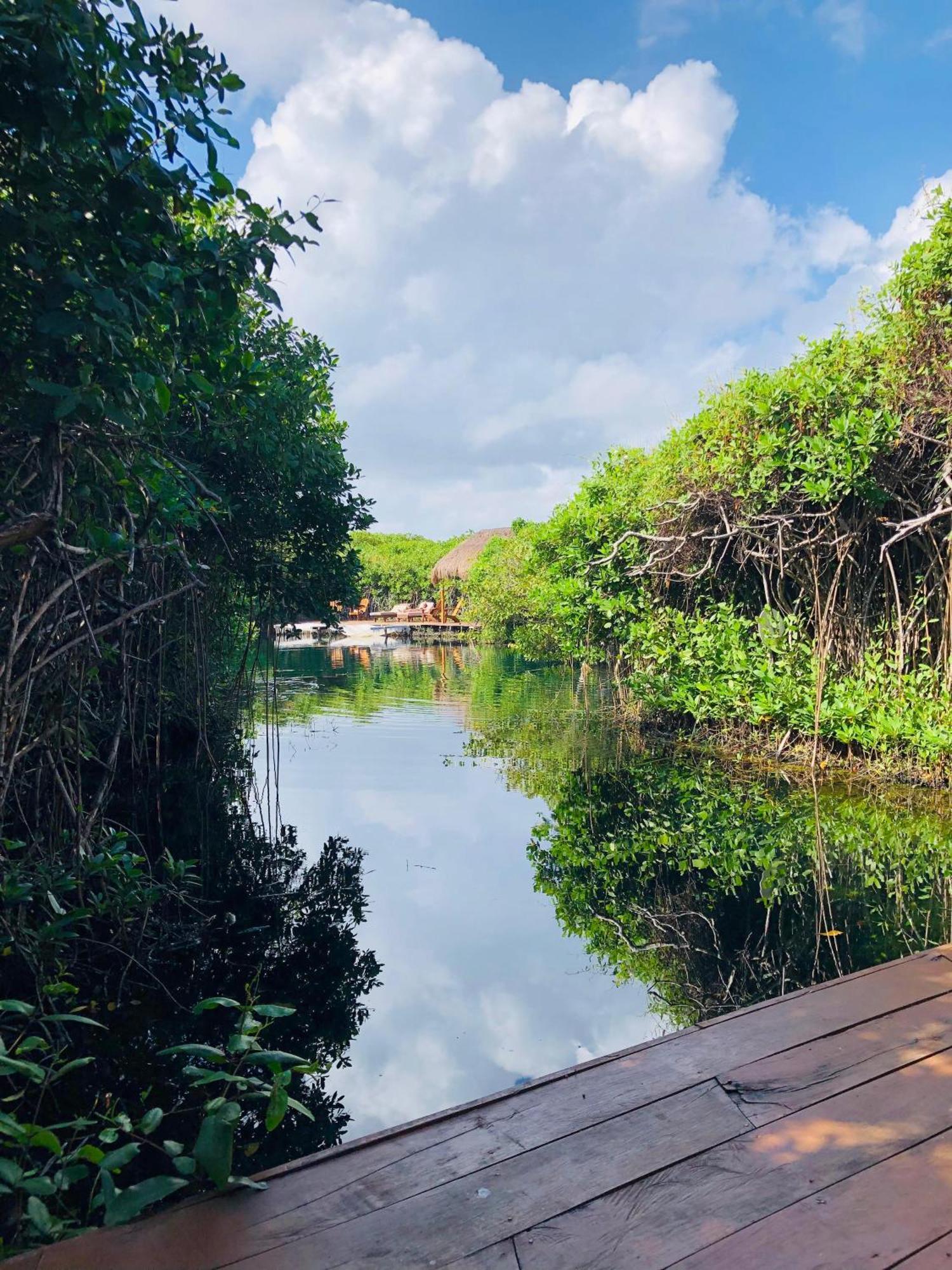 Cabanas Tulum - Aldea Mangle & Cenote Luaran gambar