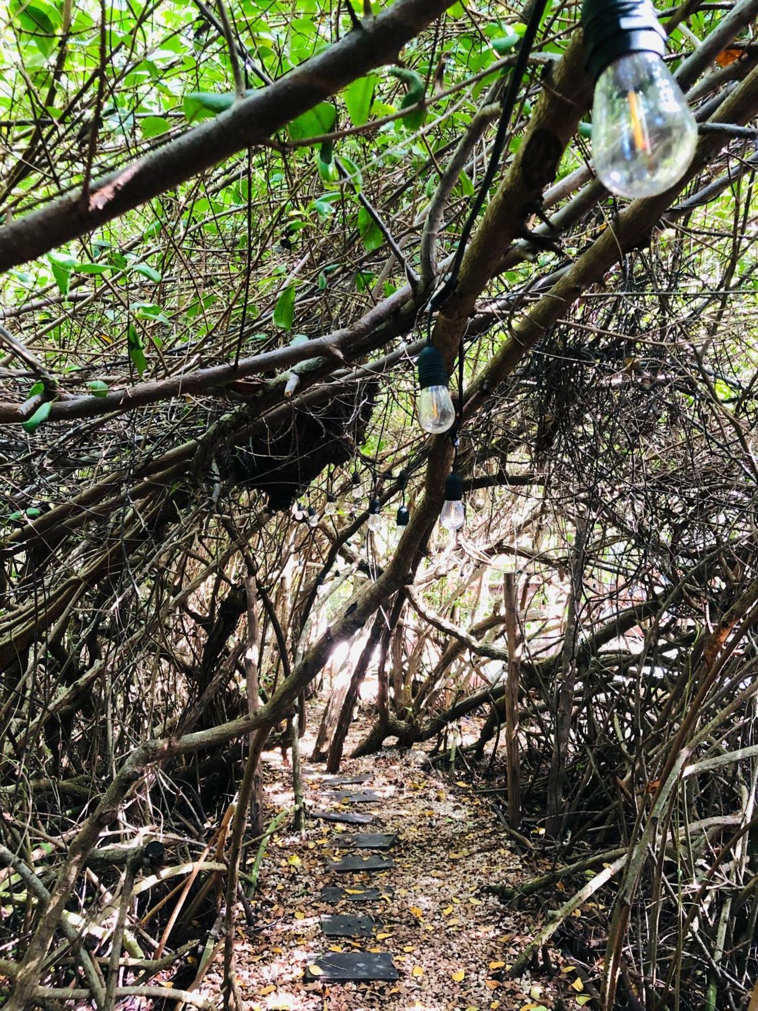 Cabanas Tulum - Aldea Mangle & Cenote Luaran gambar